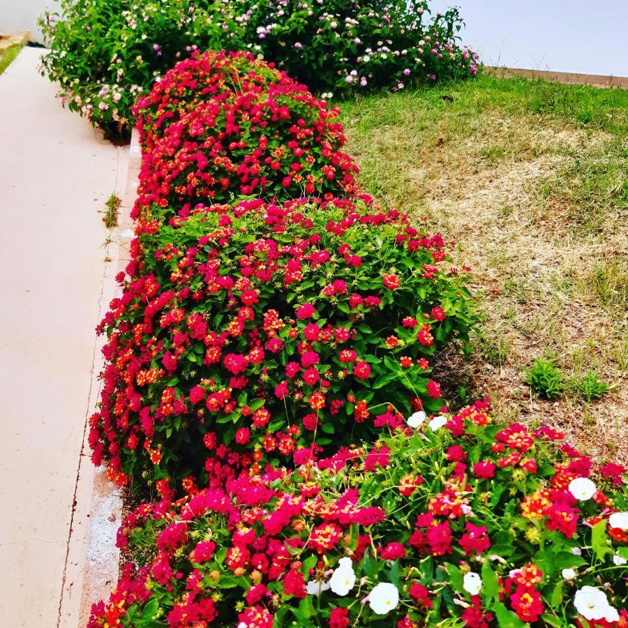 مبيت وإفطار سان تيودورو Sole&Sale المظهر الخارجي الصورة